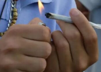 maconha na adolescência dobra risco de transtornos