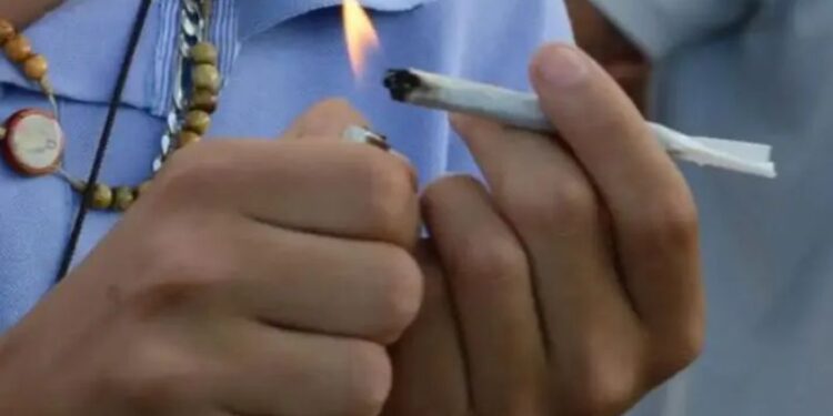 maconha na adolescência dobra risco de transtornos