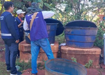 Chikungunya: entenda doença que preocupa Mato Grosso do Sul