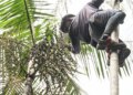 Governo investe R$ 132 milhões em regularização fundiária na Amazônia