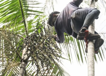 Governo investe R$ 132 milhões em regularização fundiária na Amazônia