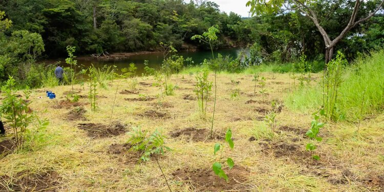 Parque não inclui área destinada a salvar BRB, diz associação