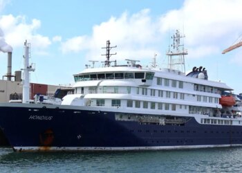 Hantavírus: OMS suspeita de rara transmissão entre humanos em navio
